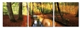 Baxton Studio Forest Oasis Mounted Photography Print Triptych Baxton Studio Forest Oasis Mounted Photography Print Triptych, BSDE-3054ABC, Baxton Studio Affordable Modern Design