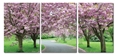 Baxton Studio Spring in Bloom Mounted Photography Print Triptych