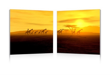 Baxton Studio Glorious Giraffes Mounted Photography Print Diptych