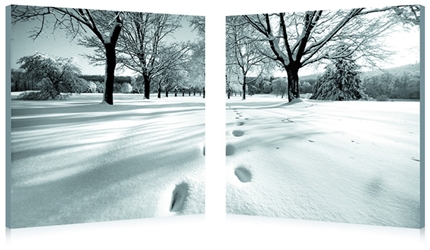 Baxton Studio Telltale Trail Mounted Photography Print Diptych