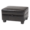Baxton Studio Agustus Brown Leather Storage Ottoman Black Bi-cast Leather Storage Ottoman, BSA-136-001-Ottoman, Baxton Studio Affordable Modern Design